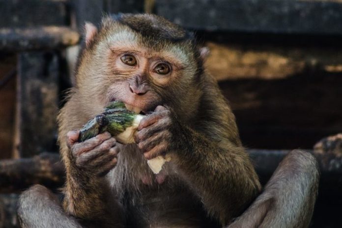 Break-up (vr)eten zorgt niet voor extra kilo’s
