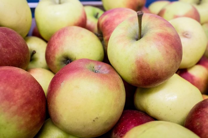 Vier morgen International Apple Day in deze drie treinstations