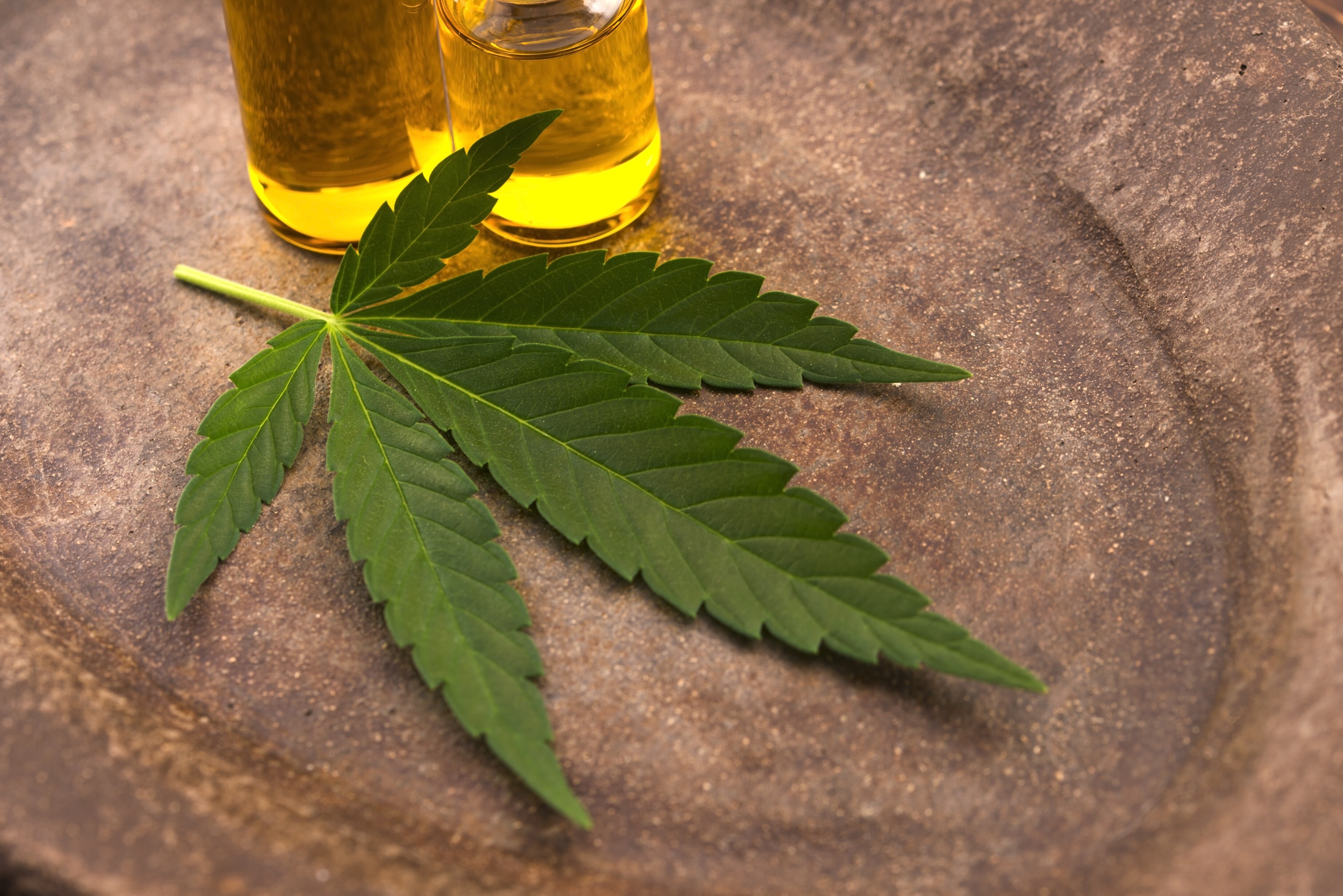 Geen familieruzies meer: giet eens wat wietjus over de kerstkalkoen