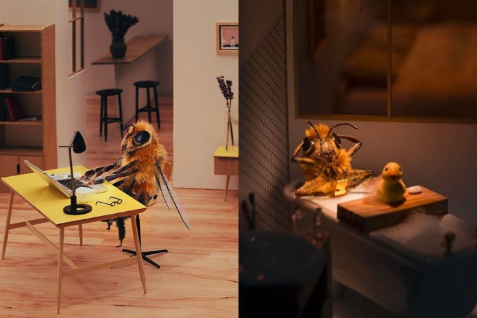 IN BEELD. Deze bijdehante influencer zet zich in voor het goede doel