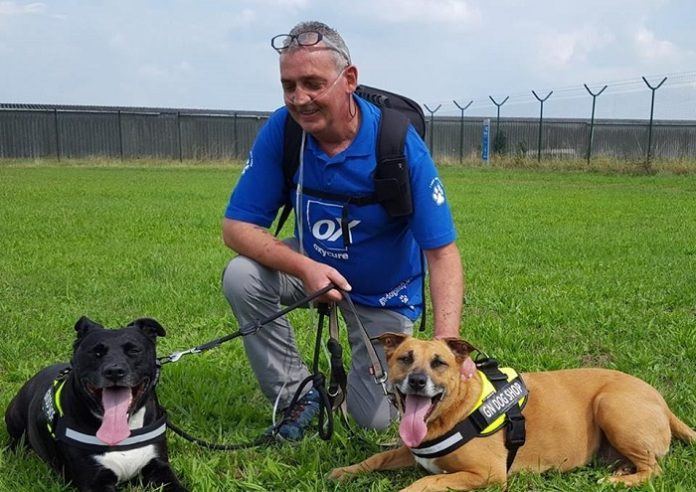 Meer dan 200 mensen willen hond Zino adopteren van terminaal zieke Peter