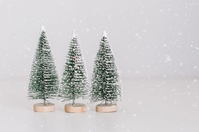 Tien ecologische cadeautjes voor groene zielen