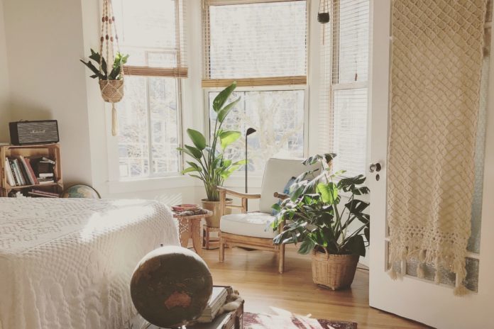 Je hebt honderden planten nodig om de lucht in huis te zuiveren