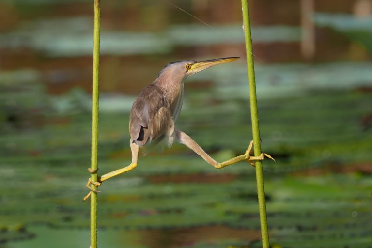 Hoe houd je je leven in balans?
