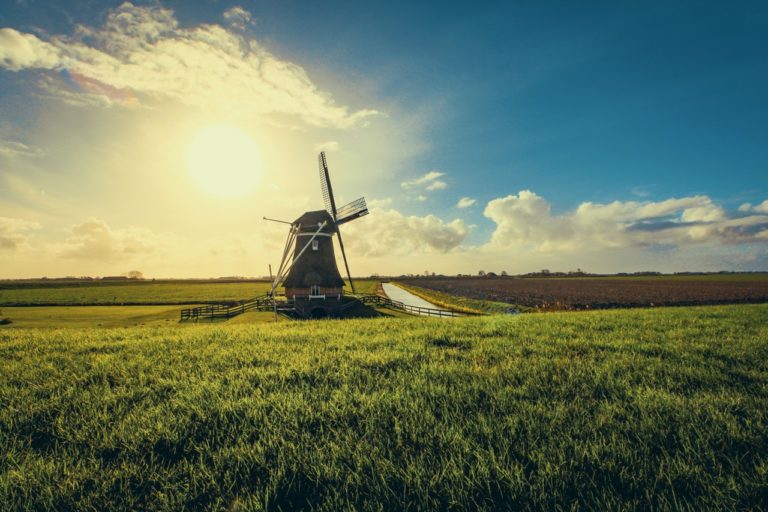 België en Nederland: de verschillen