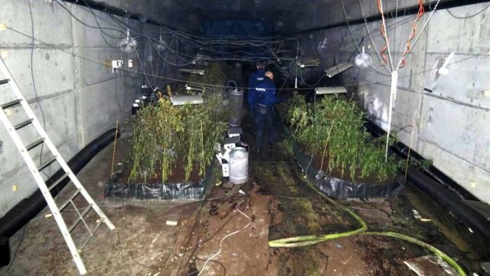 BIZAR. Politie ontdekt cannabisplantage in gewelven van brug