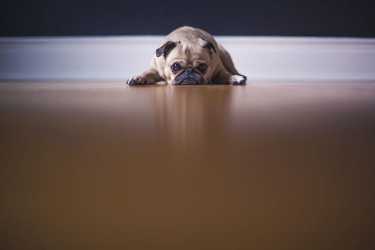 ‘Blue Monday’: zo kom je de meest deprimerende dag van het jaar door
