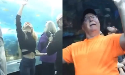 Deze opa denkt zo het zijne van al dat ‘influencers’-gedoe (video’s/foto’s)