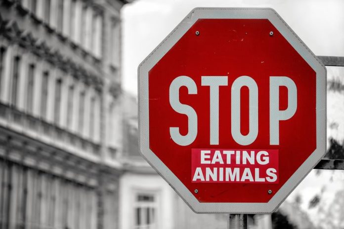 Vijf onverwachte producten die niet altijd vegan zijn