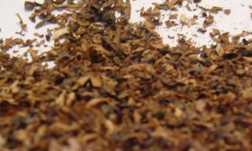 Dokters waarschuwen voor gevaarlijke trend: “Steek GEEN tabak in je vagina”