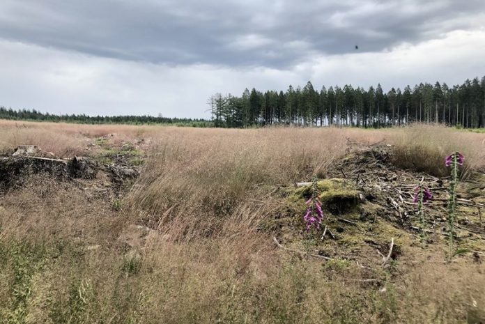 Bivakkeren in België: het avontuur tegemoet of goedkope camping?