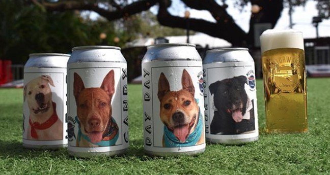 Baasje is na drie jaar herenigd met hond dankzij… bierblikje