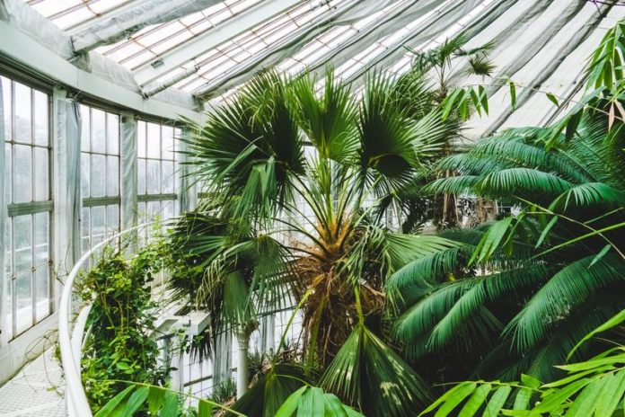 Vijf paradijselijke botanische tuinen die je gezien moet hebben