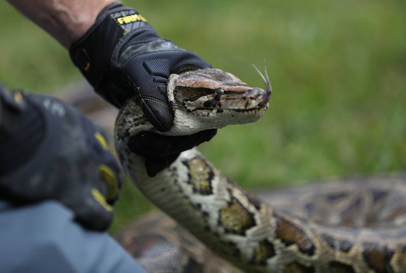 Vrouw opent deur en doet DEZE verschrikkelijke ontdekking