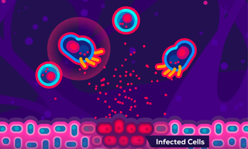 MUST SEE. Deze animatievideo toont perfect hoe het coronavirus werkt!