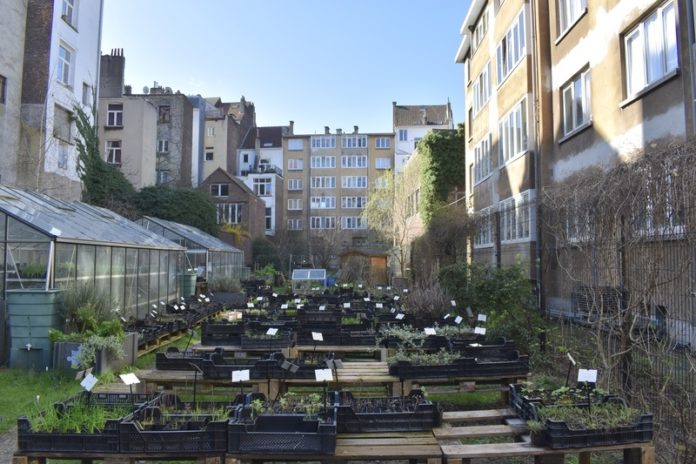 La Pousse qui Pousse: stadstuinieren voor beginners