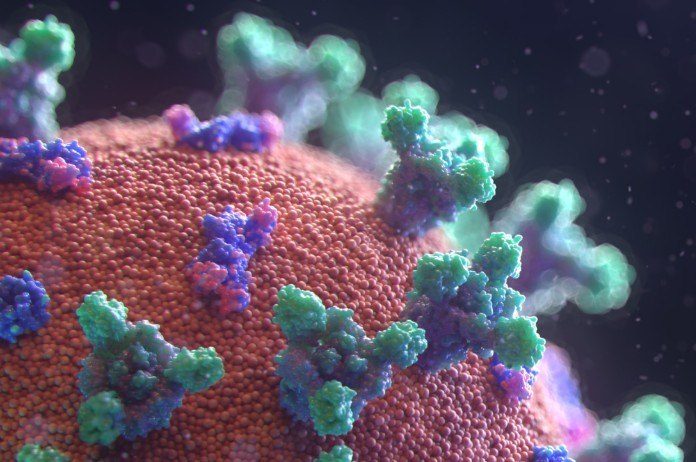 Daarom sterven meer mannen dan vrouwen aan Covid-19