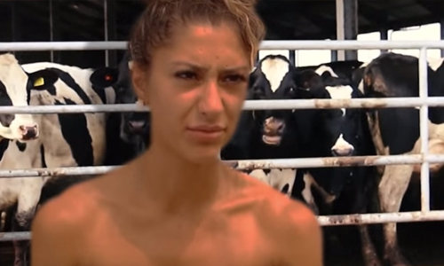 Wat als… ‘Boer zoekt Vrouw’ en ‘Temptation Island’ samensmelten tot één programma? (video)