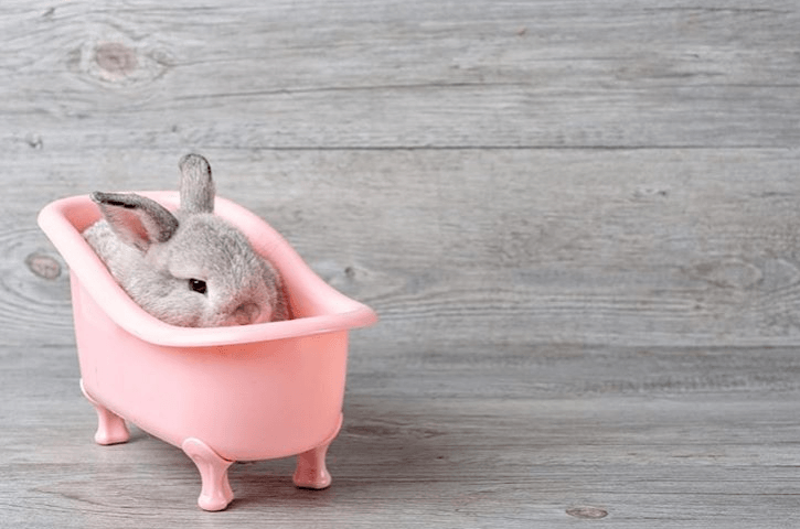 #IkKoopBelgisch: vijf beautywebshops van eigen bodem