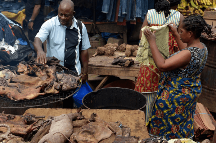 Daarom vormen dierenmarkten een risico voor nieuwe pandemieën