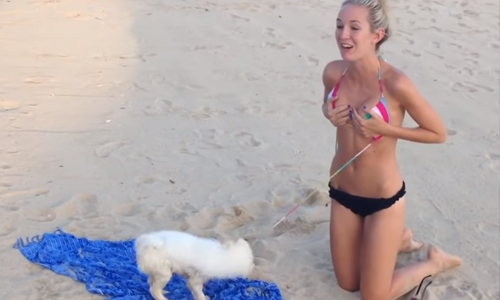 Tijd om nog eens goed te LACHEN met een gigantische lading fails! (video’s)