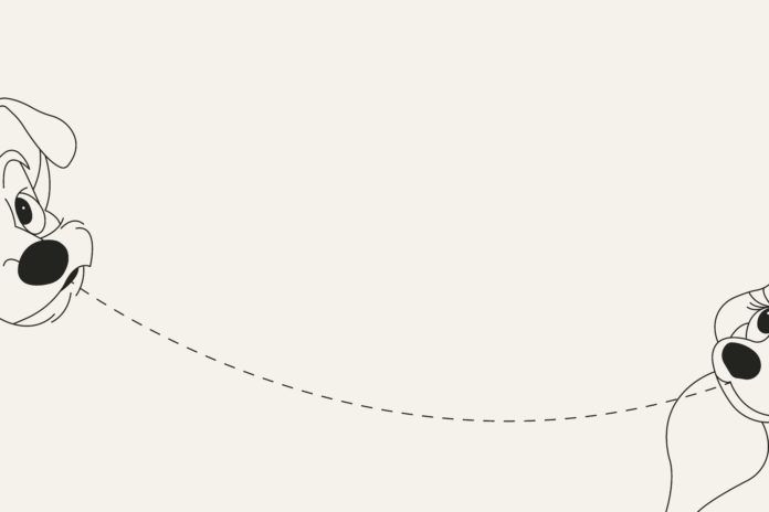 Vijf Instagramprofielen die je gegarandeerd beter doen voelen