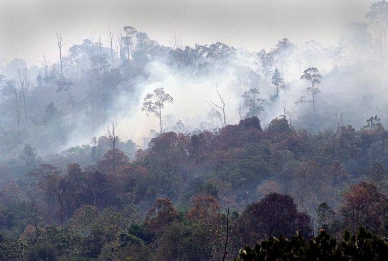 Met deze spitstechnologie wil Indonesië bosbranden voorkomen