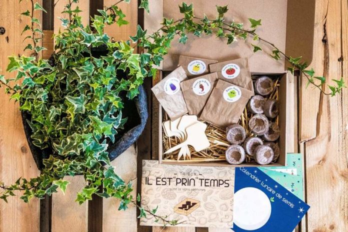 Geen groene vingers? Dan is deze moestuinbox precies wat je nodig hebt