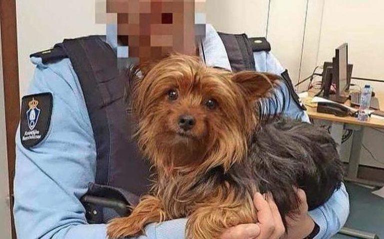 Man dumpt hond in vuilbak omdat die hotel niet in mag