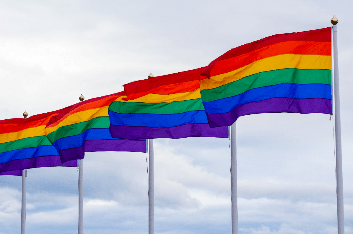 Vandaag is de Internationale Dag tegen Holebi-, Trans- en Interseksefobie: