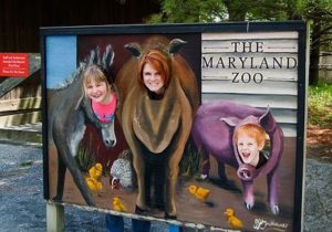 The Maryland Zoo