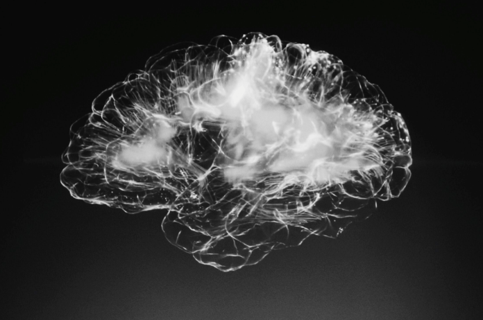 Zo vormen we onze herinneringen