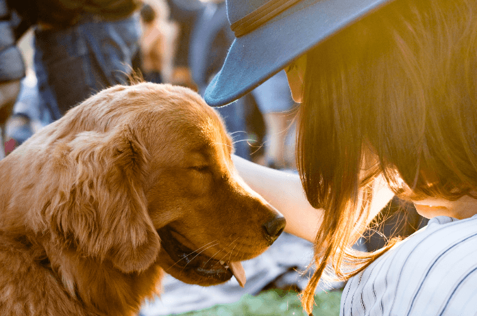 De eerste Gentse voedselbank voor dieren opent de deuren