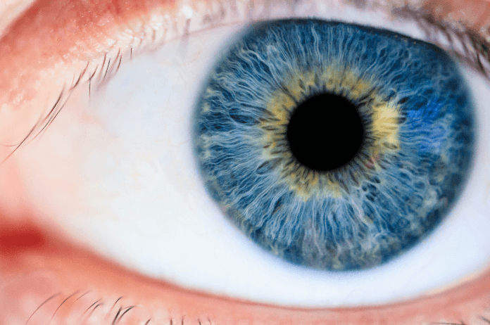 VIDEO. Wat zeggen je ogen over jou?