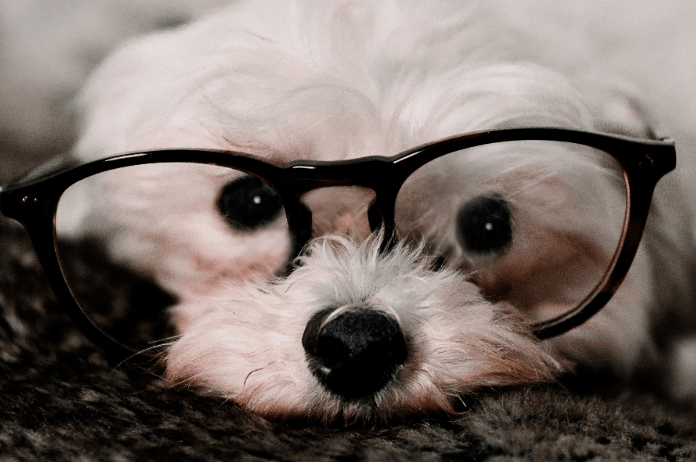 VIDEO. Misschien ben je wel slimmer dan je zelf denkt