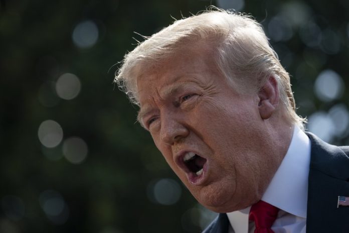 Nicht van Trump legt omstreden familiegeschiedenis bloot in nieuw boek