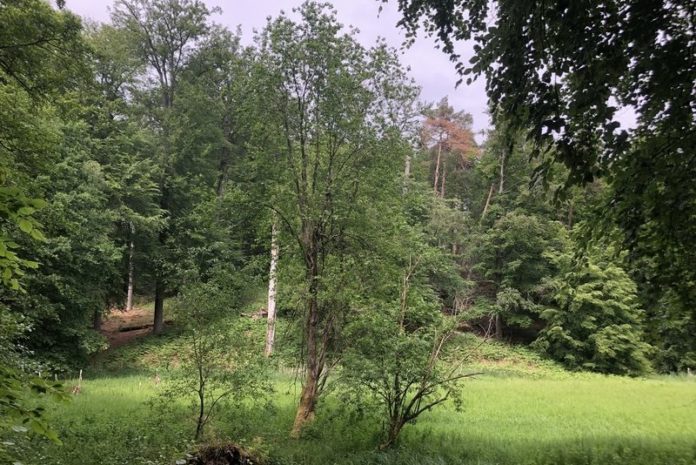 Drie groene pareltjes om tot rust te komen in de buurt van Brussel