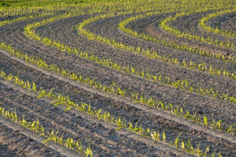 “Vlaanderen is zo droog als Zuid-Spanje”
