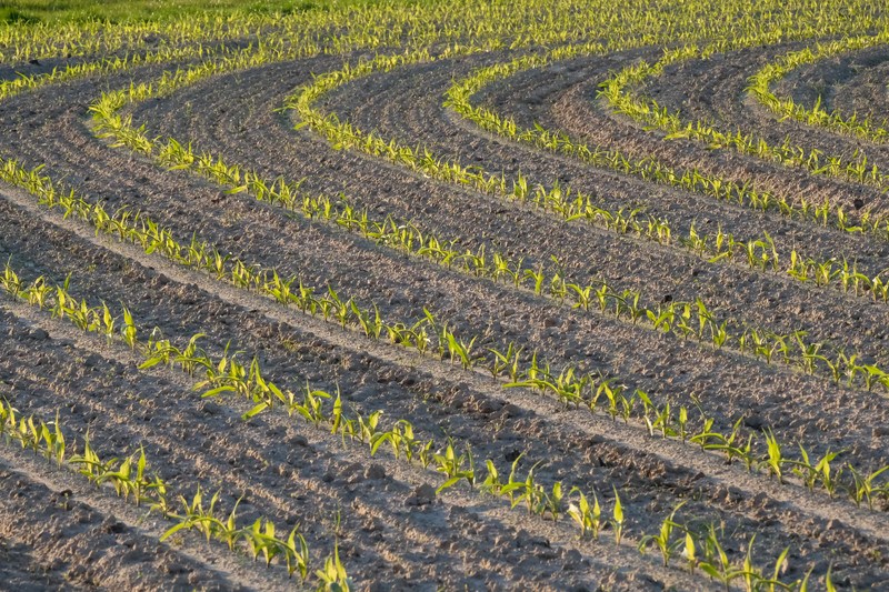 “Vlaanderen is zo droog als Zuid-Spanje”