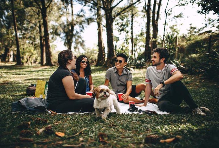 LIFEHACK. Met deze tips organiseer je de ultieme picknick