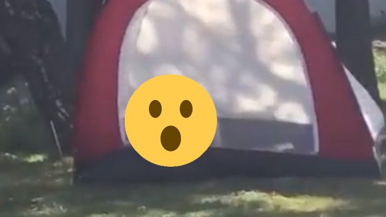 Hitsig koppeltje had misschien toch een beter tentje moeten kopen (NSFW-video)