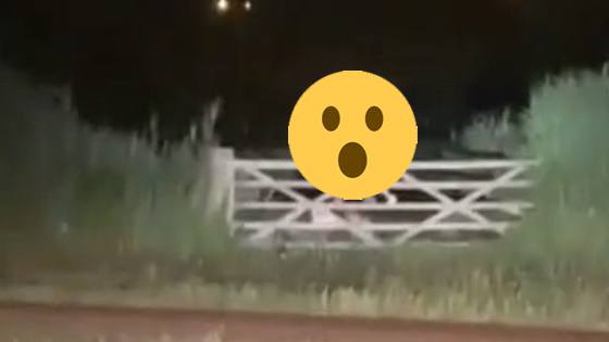 WOOPS: Pikant tafereel doet automobilist éxtra rondje maken op rotonde (video)