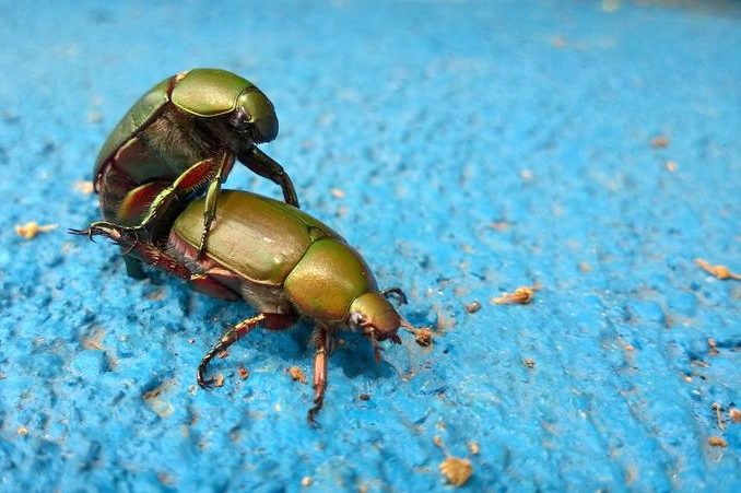 BIZAR. Zo weinig calorieën verbrand je tijdens de seks