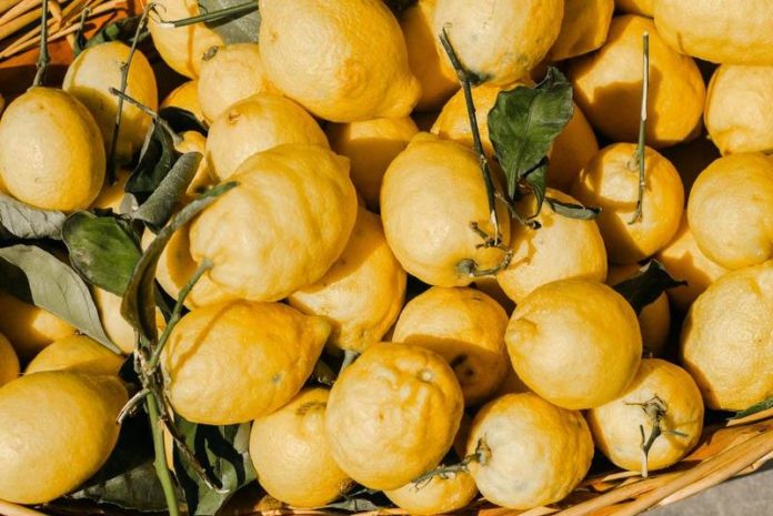 LIFEHACK. TikTokster toont de beste manier om citroenen te persen (video)