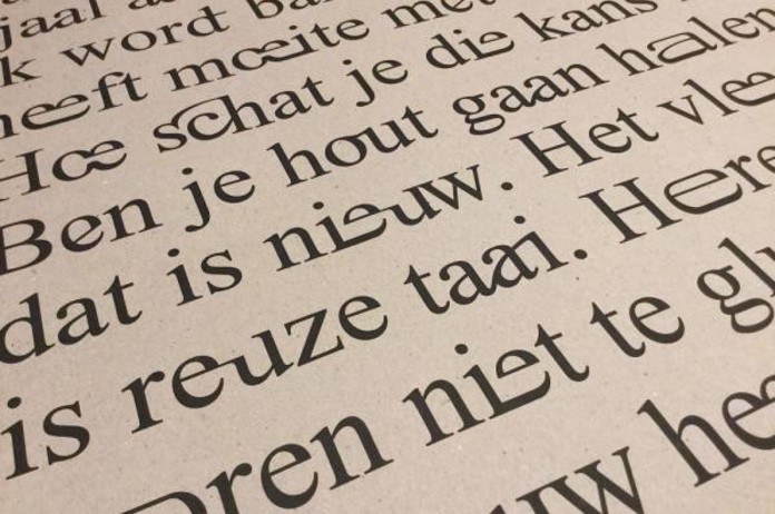 De Vlaamse Scriptieprijs: Nederlands lezen in een oogopslag