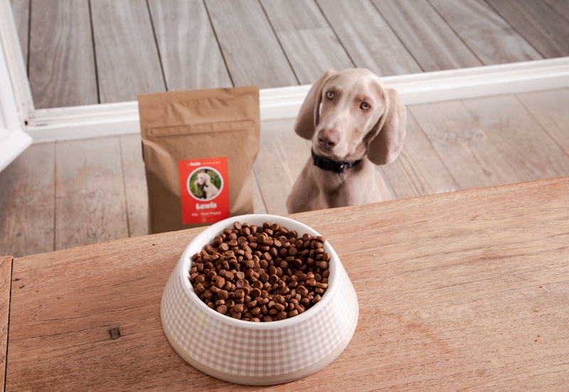 Wordt jouw viervoeter de mascotte van zijn hondenvoer?