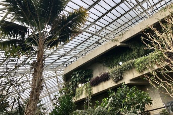 BUCKETLIST TIP. Een bezoekje aan het plantenparadijs van het Barbican Centre in Londen