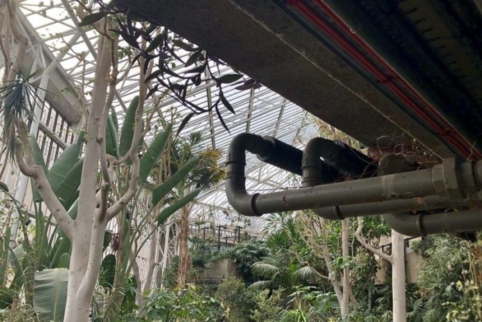 BUCKETLIST TIP. Een bezoekje aan het plantenparadijs van het Barbican Centre in Londen