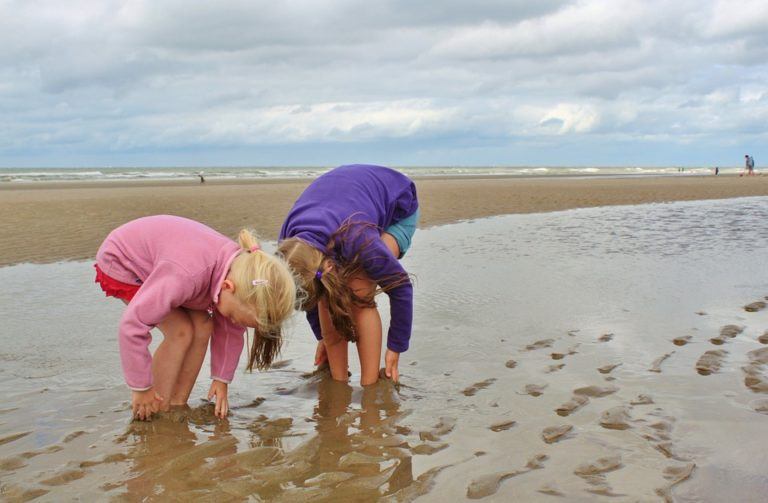 Een unieke vakantie in eigen land