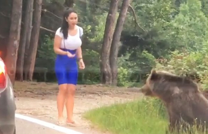 AKELIG! Vrouw stapt uit auto voor foto met beer, maar dan… (video)